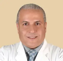 Mr Sherif Elshahawy